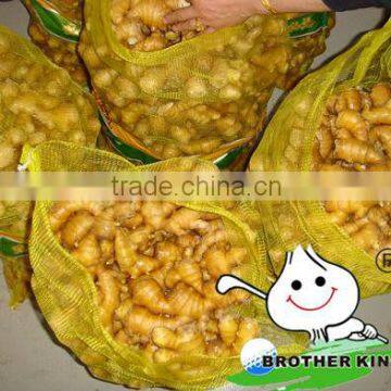 Chinese fresh ginger in mesh bag