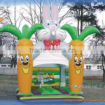 inflatable bouncer/cheap inflatable bouncers
