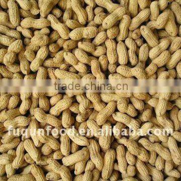 Raw Peanut in Shells 2011 crop