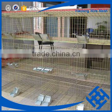 Professional manufacture cheap cage for rabbit