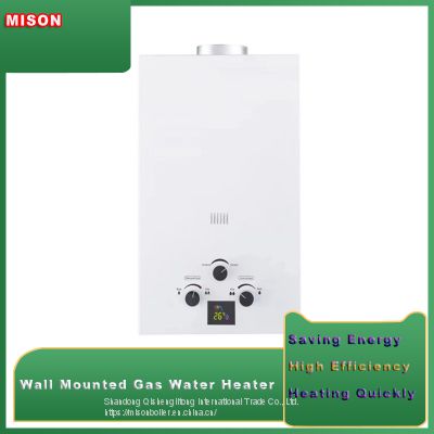 High Quality Wall Mounted Natural Gas Tankless Natural Gas Water Heater /boiler/Geyser