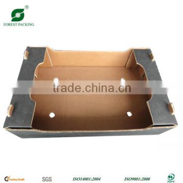 Fruit and vegetables shipping tray FP200139