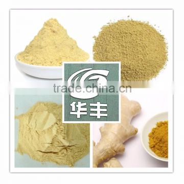 Dried Ginger Powder Health Products "HOT SALE" Price with Kosher certificate