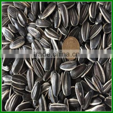 Sale 5009 Raw Sunflower Seeds Count 250 pieces Per 50 Gram