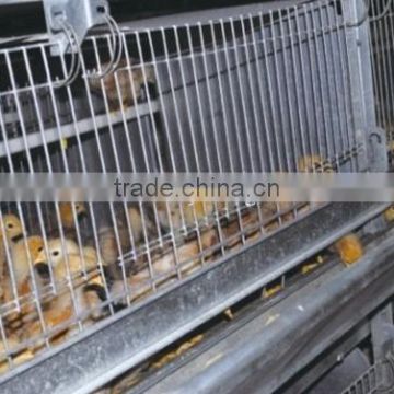 Pullets raising cage for poultry farming equipment