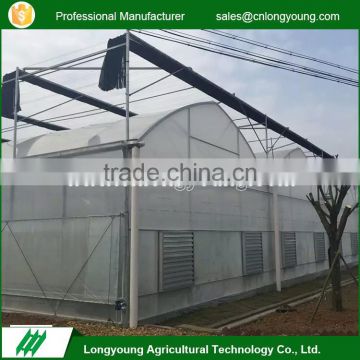 Latest design smooth surface multi-span plastic greenhouse price