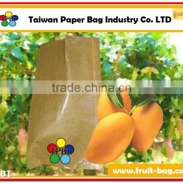 TPBI mango wrapping paper bag mango packing bag mango paper bag