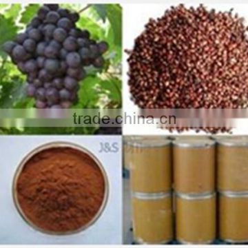 Grape Seed Extract OPC (90 Caps) - antioxidants