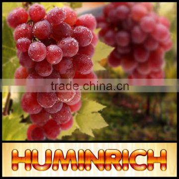 Huminrich Shenyang SH9011-7 65HA+15FA+8K2O F-Humic Acid Grape Fertilizer