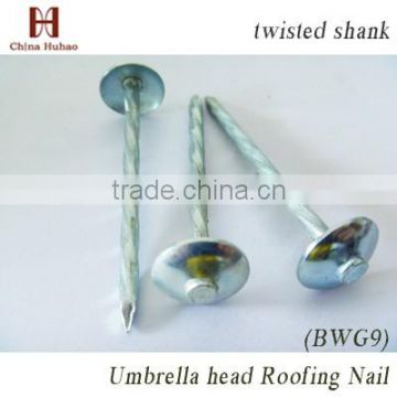 Hot sale umbrella head twist flat shank roofing nails