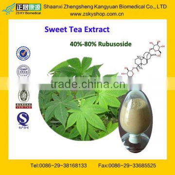 GMP Certified Factory Supply Natural Sweet Tea Leaf Extract