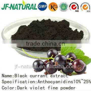 black currant extract