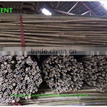 ZENT-164 Bamboo Poles small