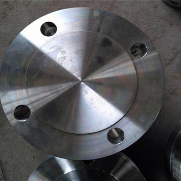 Astm A182 F317/f317l Plate Flange For Connection 
