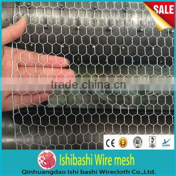 Chicken coop hexagonal wire mesh low price