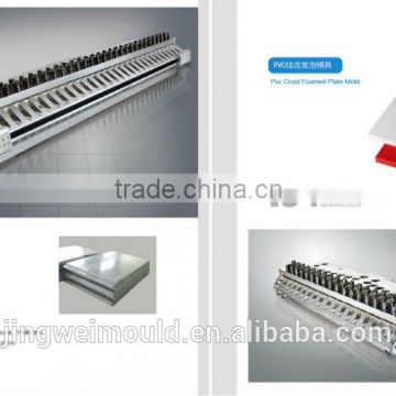 Flat head stainless steel waterproof roll plastic extrusion mould