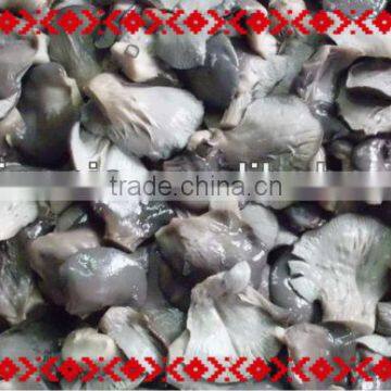 whole 2-3cm pleurotus ostreatus mushroom