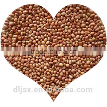 JSX Excellent quality cow peas first-class greatest cowpea beans