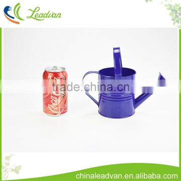 Factory wholesale mini indoor watering cans in bulk