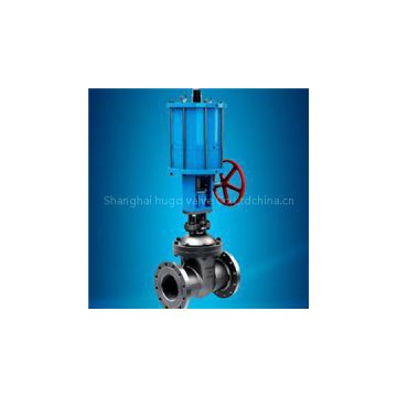 Electric Actuated Stainless Steel Gate Valve