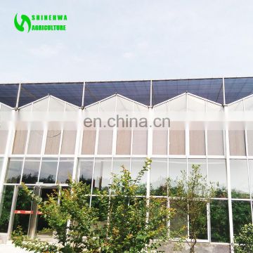 2018 China Solar Hydroponic Greenhouse For Tourism