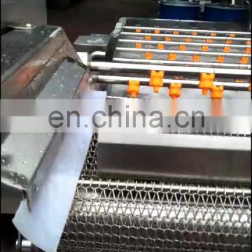 high effiency fruit sterilizer cleaner washer fruit and vegetable cleaning machine for sale