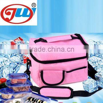 Refrigerated lunch cooler carry bag