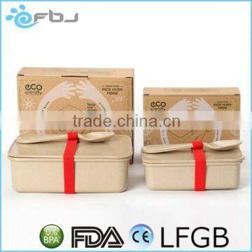 ~ China Manufacture Plastic Bento Lunch Box