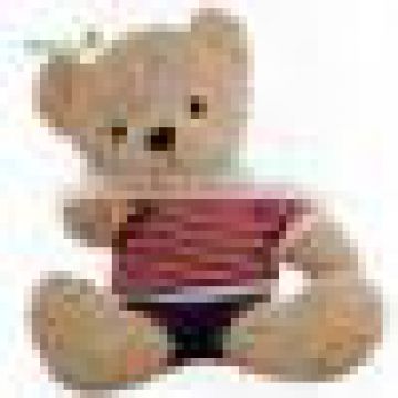 Wholesale China factory custom plush toys teddy bear toys made in China