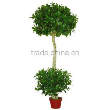 Artificial Tree plant(Real Trunk)