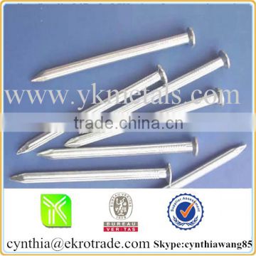 common wire nail for Africa Market