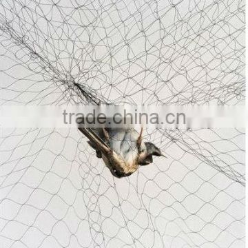 agriculture Trellis netting for bird catching net