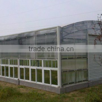 Arch anti-freezing solar greenhouse