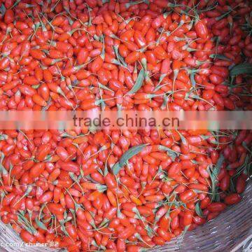 DRIED GOJI BERRIES SIZE 350