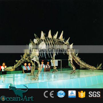 OAV3126 1:1 Dinosaur Skeleton Model