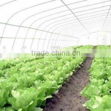 200 microns clear tunnel plastic greenhouse film for agriculture