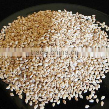 SESAME SEEDS