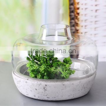 Glass clear vase with cement base for plant wholesale