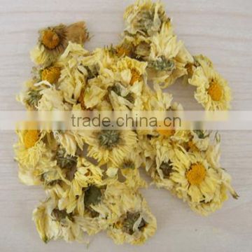 Large Amount Yellow Chrysanthemum Flower