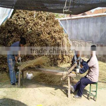 WYC-bamboo broom grass bamboo broom factory in china