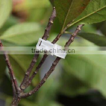 Wholesale Agricultural Plastic Tomato Grafting Support Clip