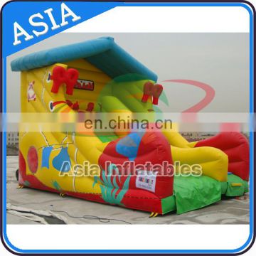 Newest Cute Small Inflatable Slide for Sale