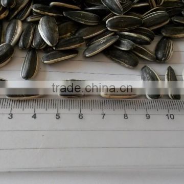 Chinese sunflower seeds for human consumption