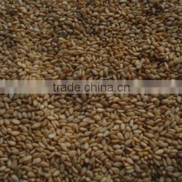 Indian hulled auto-dry sortexted Golden yellow sesame seeds