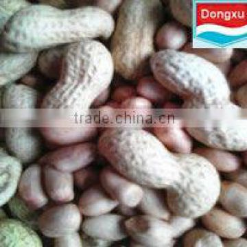 best peanut from china