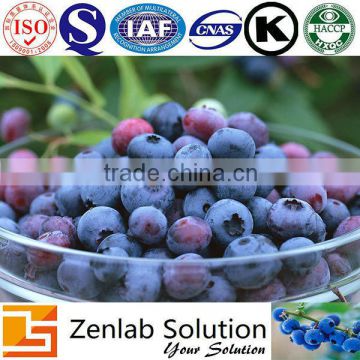 anthocyanidins bilberry, anthocyanins bilberry extract, bilberry plant extract