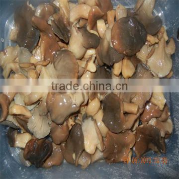 Pleurotus Mushrooms packed 50kg 5-8cm preserve for sale