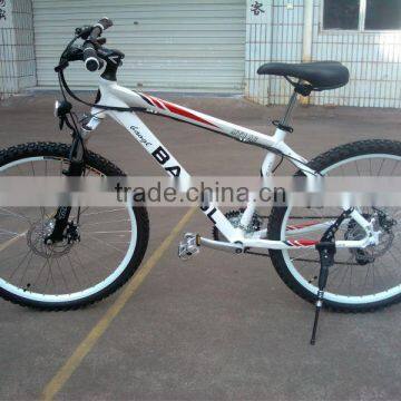 mountain bike