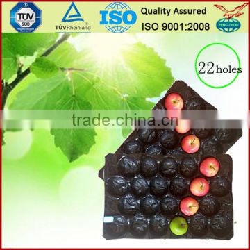 Australia Market Popular Wholesale Stone Fruit Packaging Food Grade Plastic Tray Liner