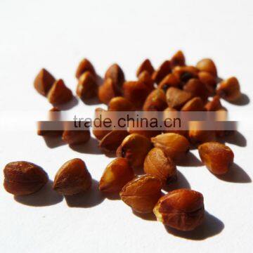Organic roasted buckwheat kernel